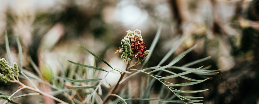 New Seasons Article Image