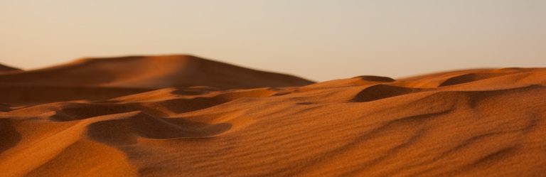 Rivers In the Desert Article Image