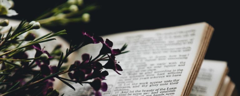 Necessary Judgement Article Image