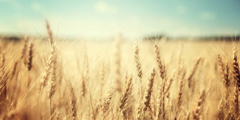 Origins Series Header