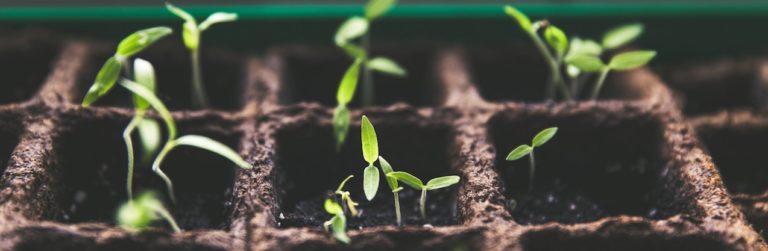 Reaping What You Sow