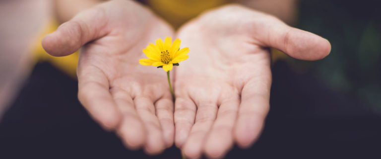 Abraham Receives Grace