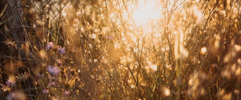 Case Closed. Grace Wins!