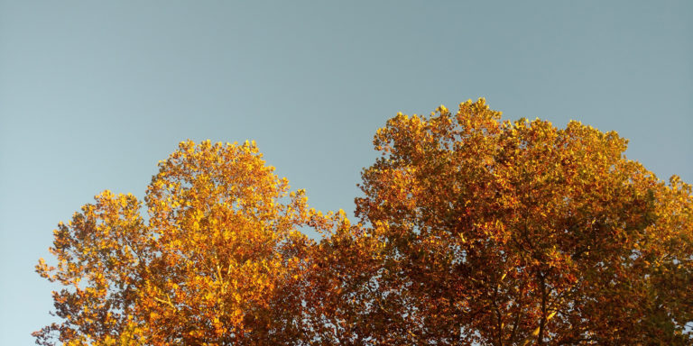 Crucifying the Old, Living in the New