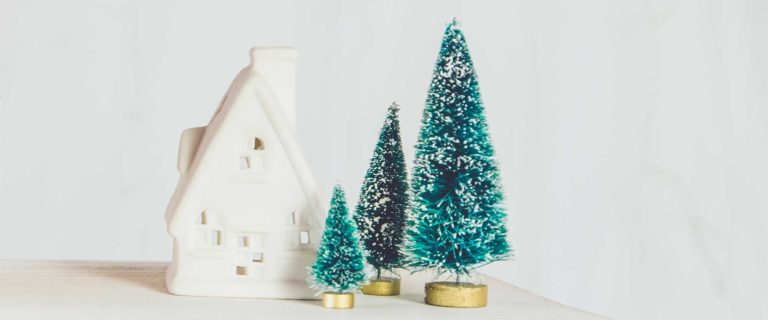 Day 6: Family Christmas Devotional