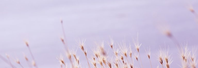 Easter Devotional: Day 3