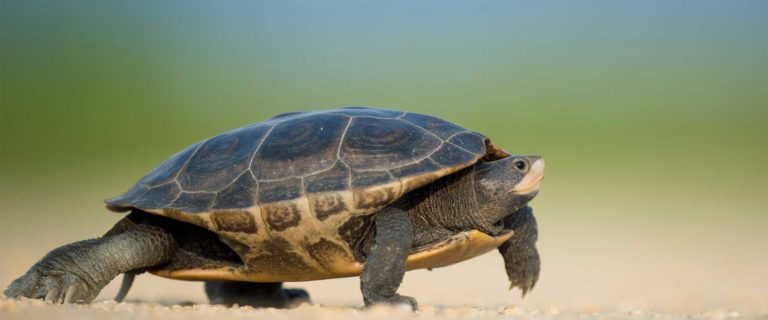 Finish What You Start