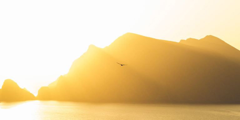 From “Me” to “We”