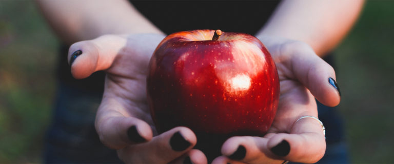 God’s Redemptive Plan