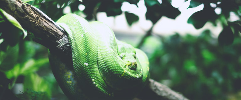 Half-Truth Consequences