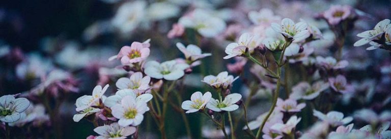 “In the beginning, GOD . . .”