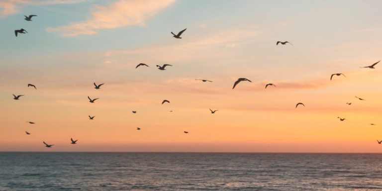 Living a Grace-Full Life