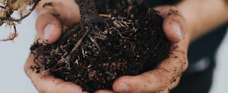 Living an Impactful Life