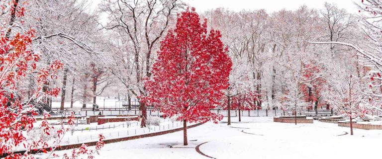 New Season Uncertainty