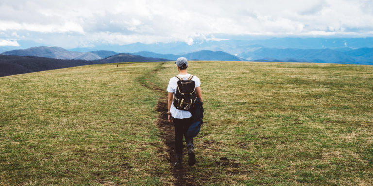 Our Commission Includes . . .