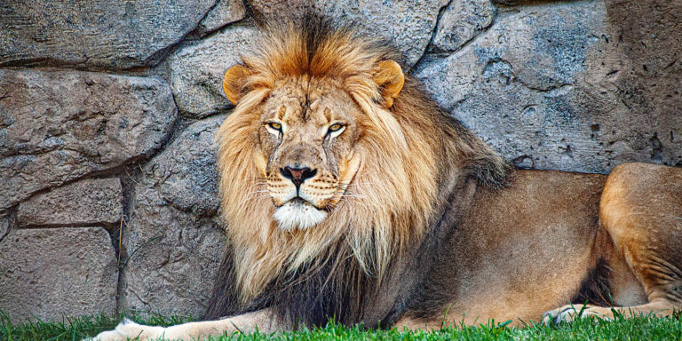 Out of the Mouths of Pagans and Princes