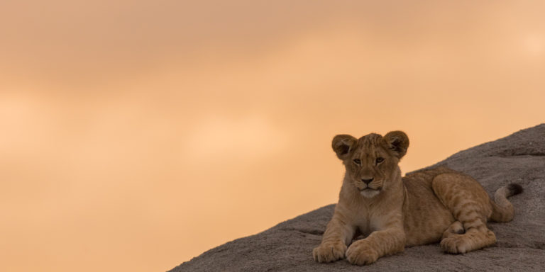 Remember Who You Are