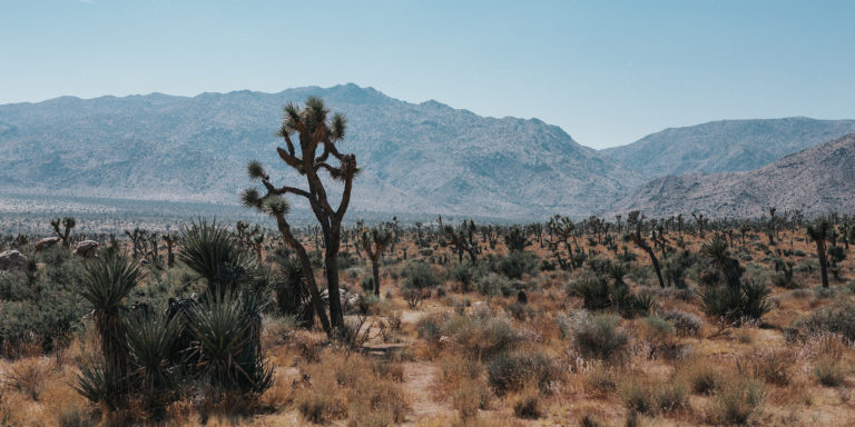 Revelation and Transformation