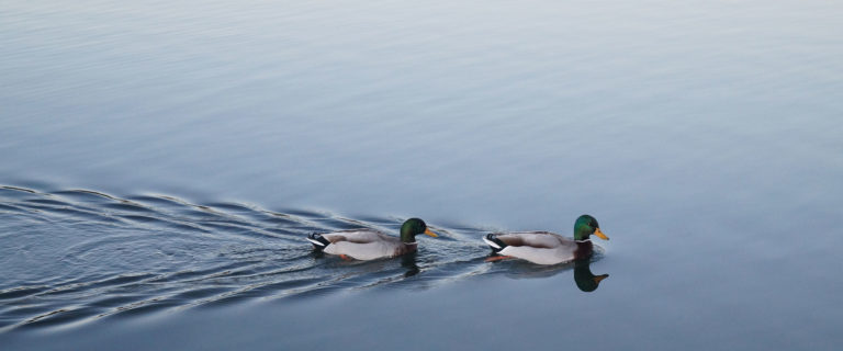 Seek God’s Guidance