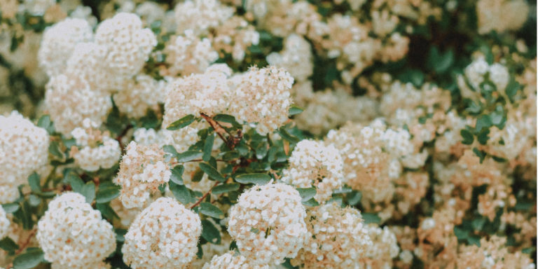 Spiritual Disciplines: Read the Bible