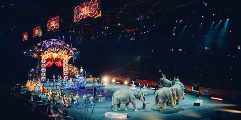 Standing in Amazement