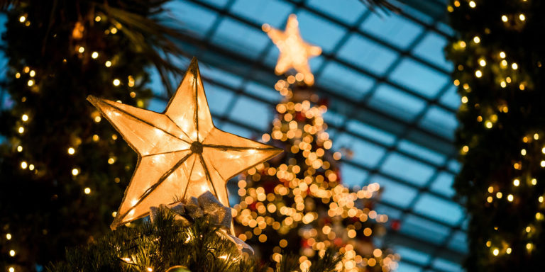 Star of Wonder, Shine So Bright