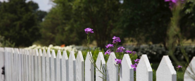Stay Inside The Fence