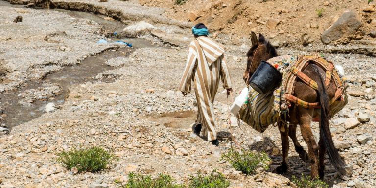 The Deepest Anguish and the Greatest Good