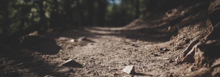 The Garden and the Ground