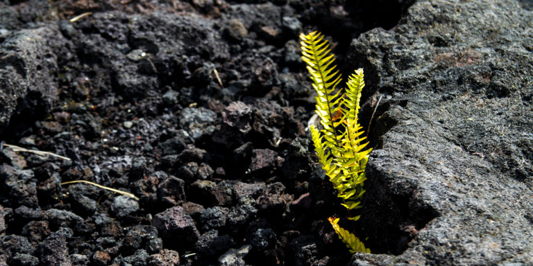 The Most Amazing Thing You’ve Ever Seen