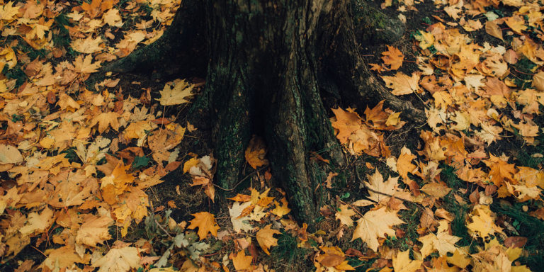 The Secret to Withstanding Deception