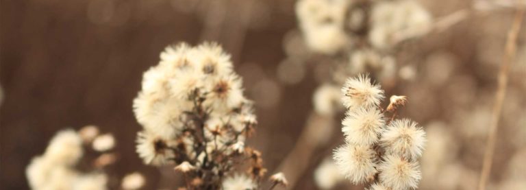 The Unforgiving Slave