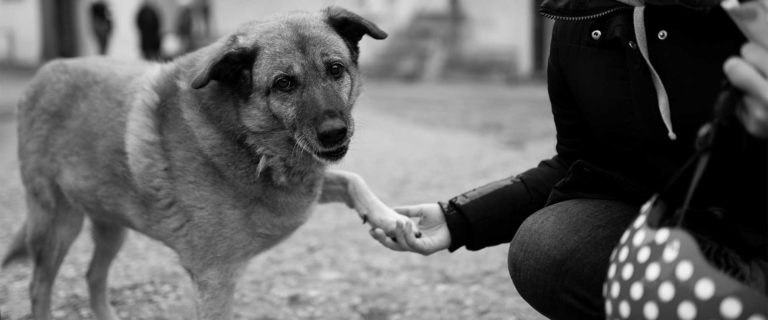 There Is No Substitute