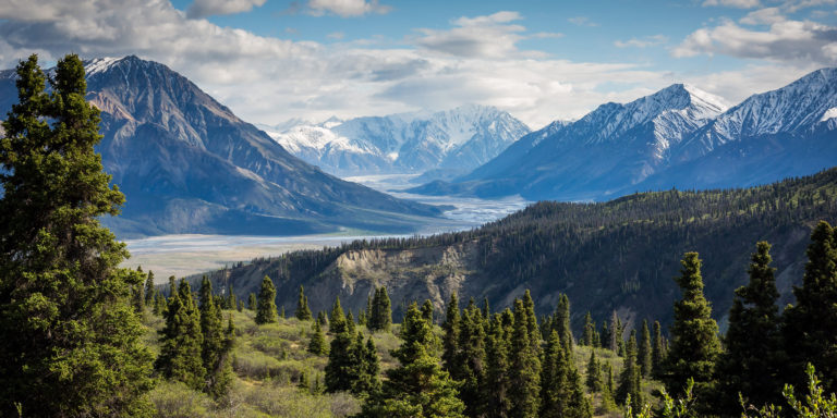 Transcendent Principles