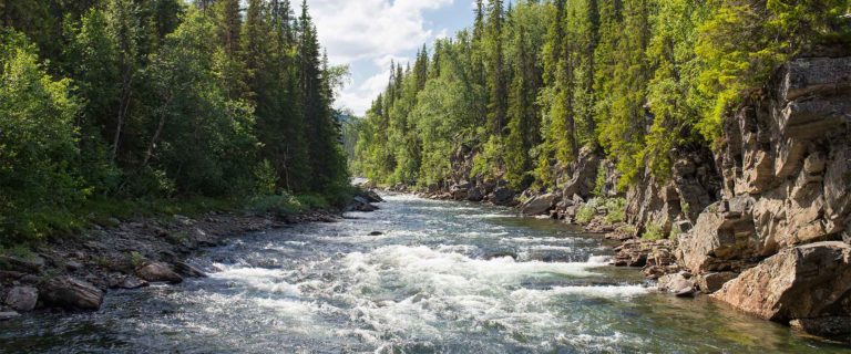 Twelve Stones Under Water