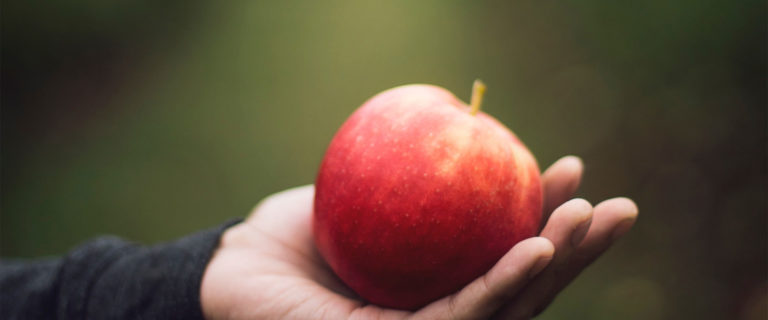 Two Attitudes Towards Sin