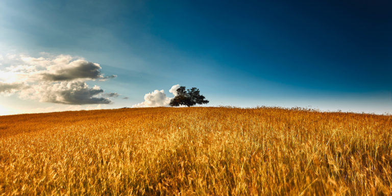 Unlawfulness on the Sabbath