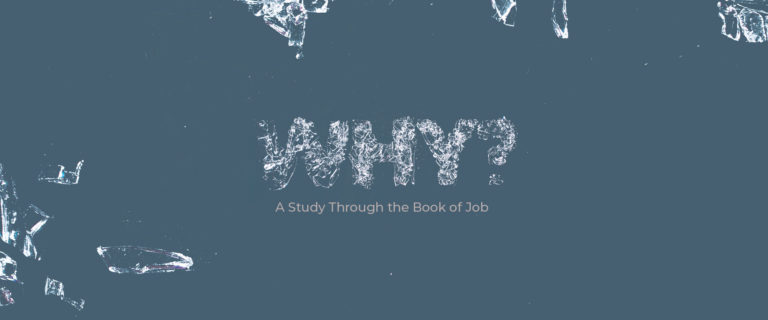 WHY?: An Overview of Job