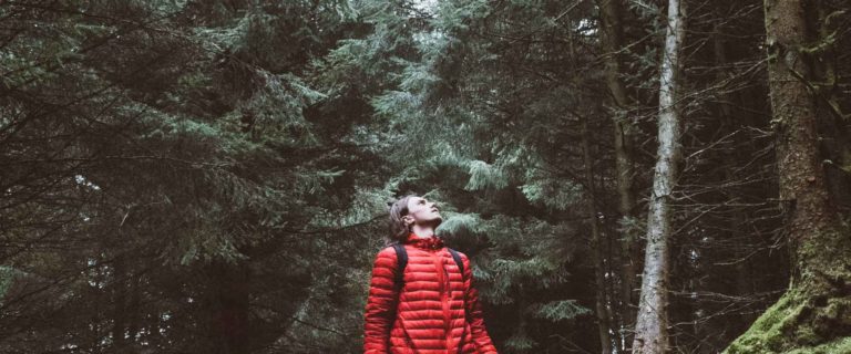 Wandering In The Wilderness