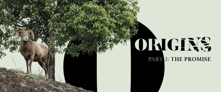 Origins Part 2: A Match Made in Heaven Study Guide