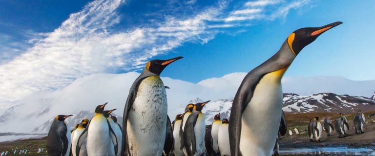 What’s Your Marching Order?