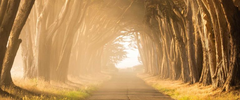 Word of Mouth, Word of Truth