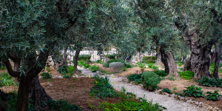 The Indignity of Betrayal and the Fulfillment of Prophecy Article Image