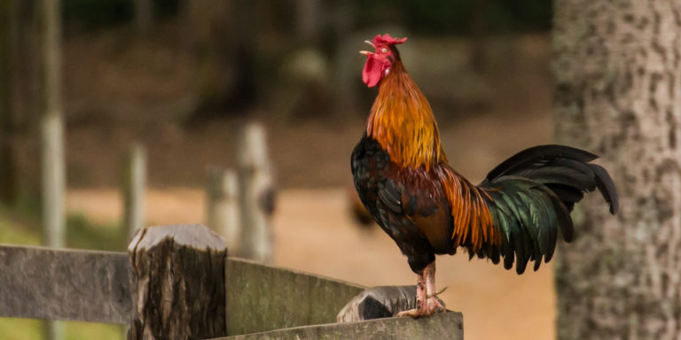 Rejection and Redemption Article Image