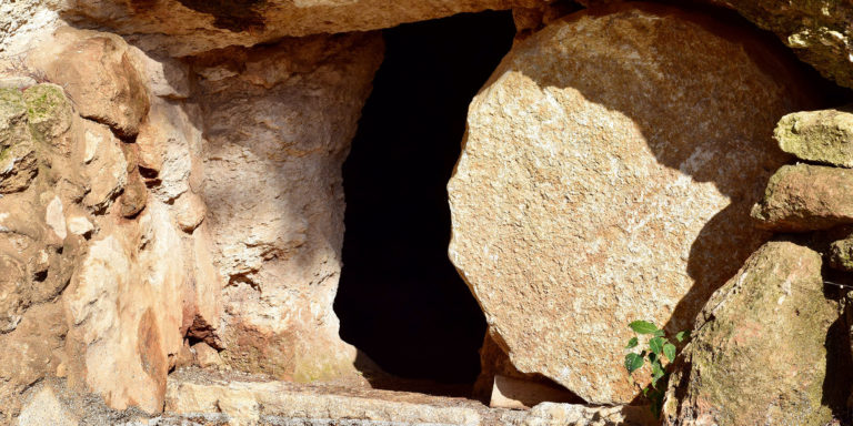 Daring Devotion Article Image