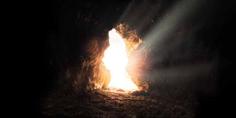 The Distinguishing Factor Article Image