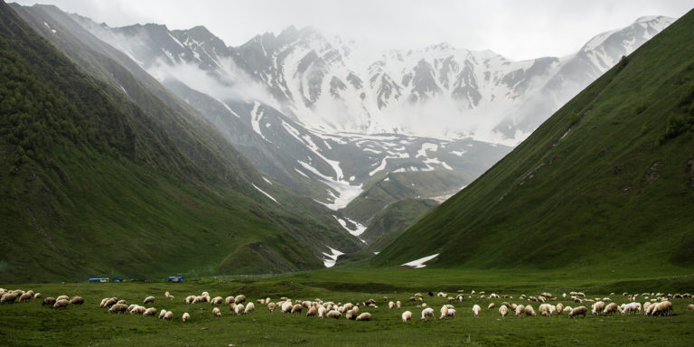 I Would Never Article Image