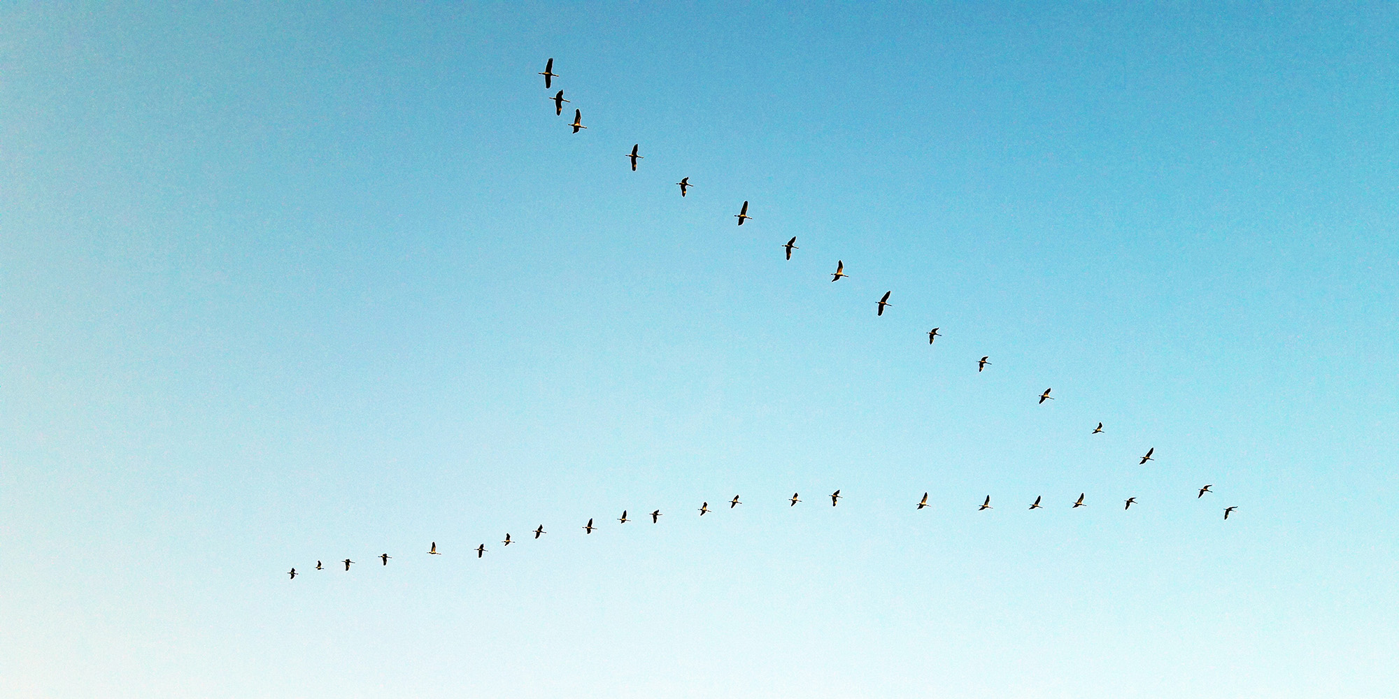 The Bringer and Breaker Devo Image