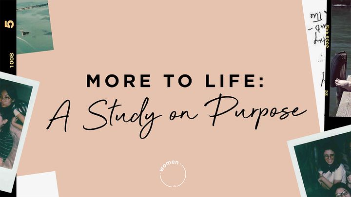 More to Life Purpose Devo Image