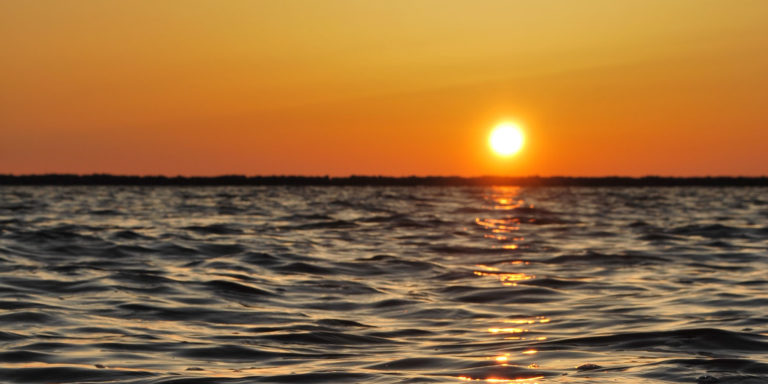 In That Day Devo Image